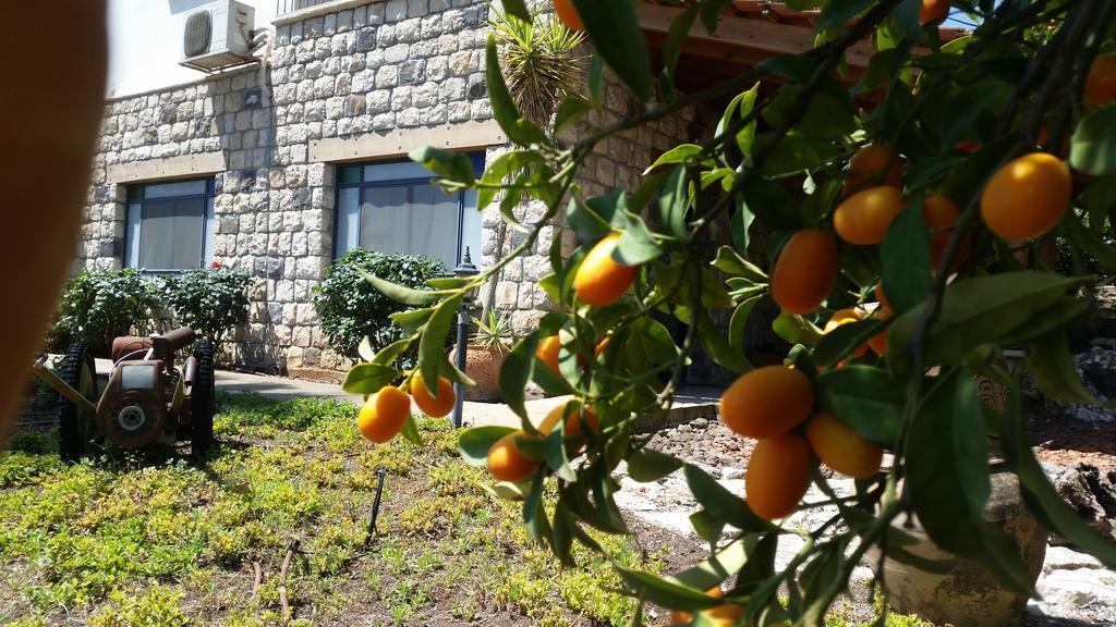 Shwartzimmer Rosh Pinna Exterior foto